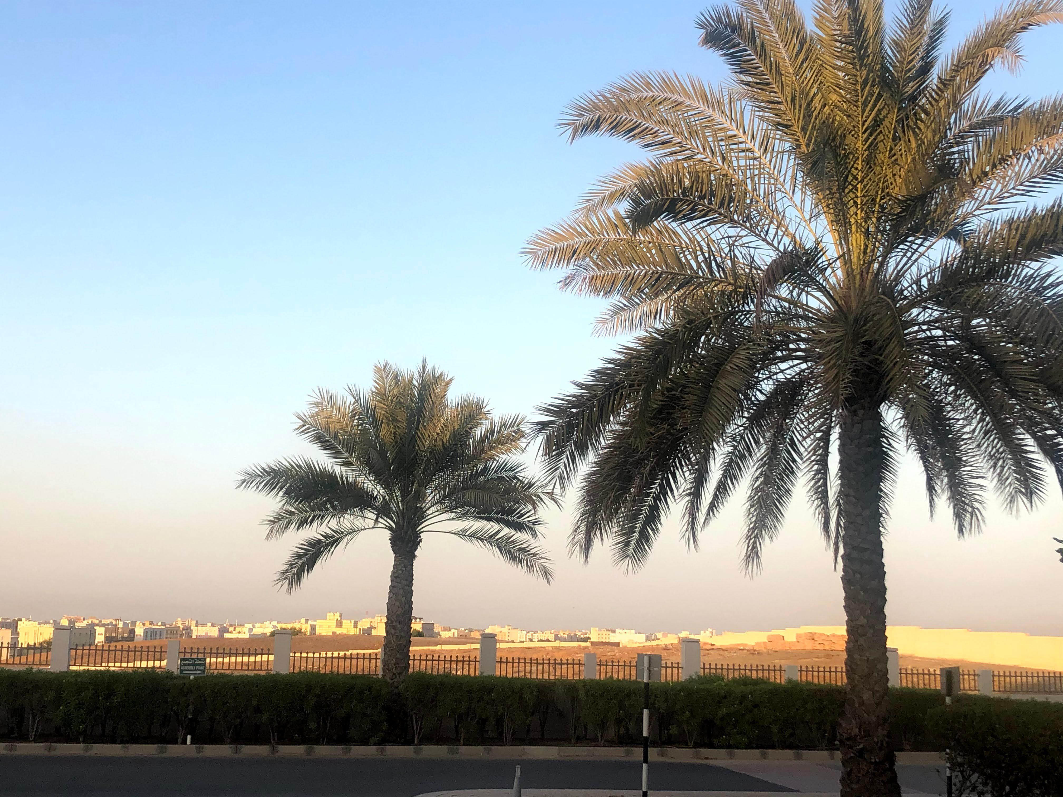 Crowne Plaza By Ihg 5*